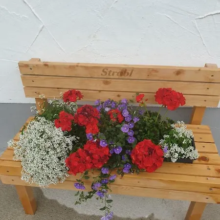 Accommodatie bij particulieren Haus Strobl Bach (Tyrol)