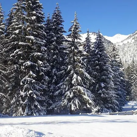 Haus Strobl * Bach (Tyrol)